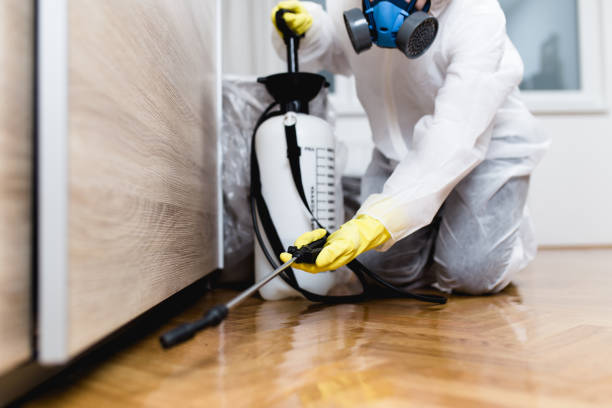 Best Emergency Pest Control  in Rio, WI