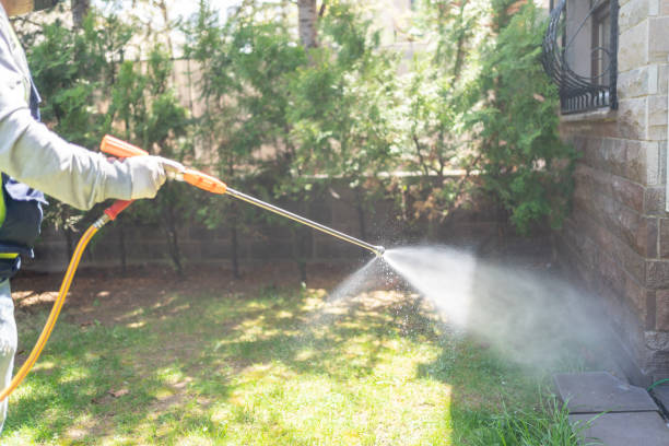 Best Affordable Pest Control Services  in Rio, WI