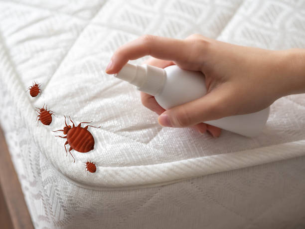 Best Pest Control Near Me  in Rio, WI