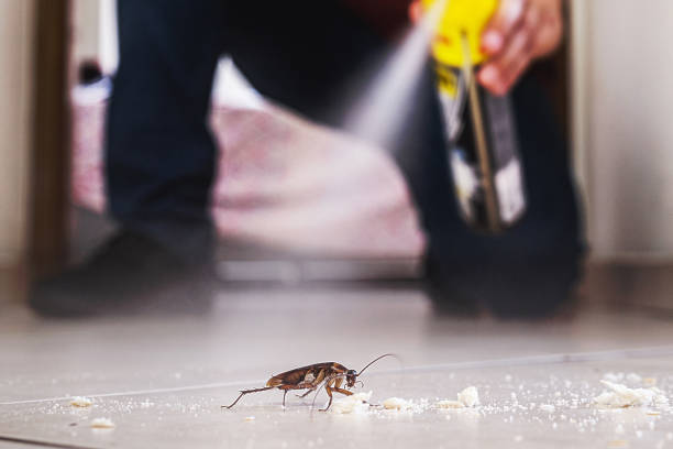 Best Commercial Pest Control Services  in Rio, WI
