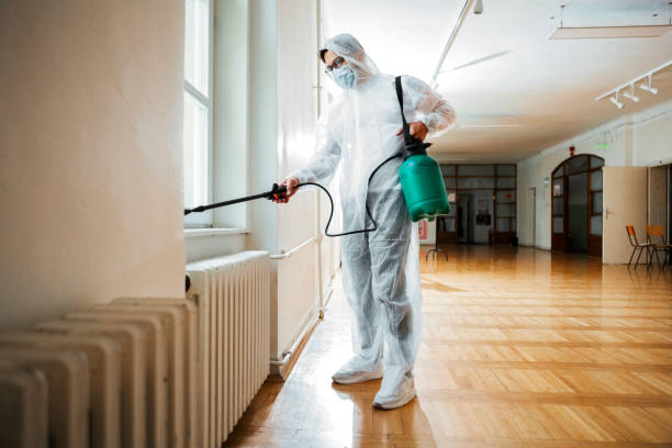Best Termite Control Services  in Rio, WI