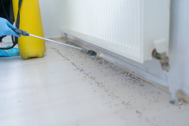 Best Cockroach Control Services  in Rio, WI