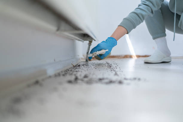 Best Pest Control for Homes  in Rio, WI